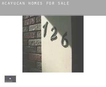 Acayucan  homes for sale