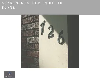 Apartments for rent in  Borne