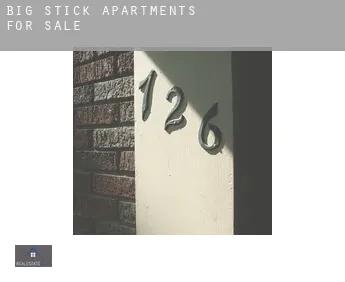 Big Stick  apartments for sale