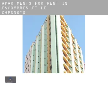 Apartments for rent in  Escombres-et-le-Chesnois