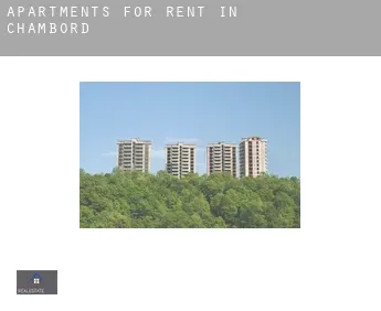 Apartments for rent in  Chambord