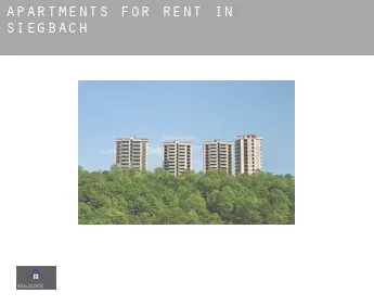 Apartments for rent in  Siegbach