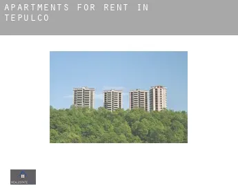 Apartments for rent in  Tepulco