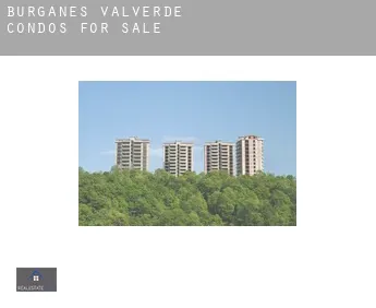 Burganes de Valverde  condos for sale