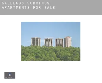 Gallegos de Sobrinos  apartments for sale