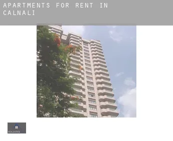 Apartments for rent in  Calnalí