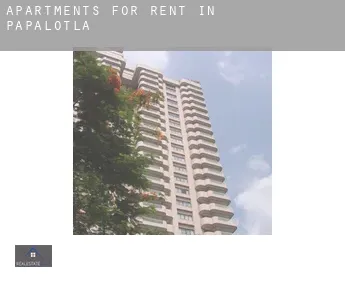 Apartments for rent in  Papalotla