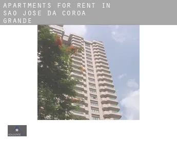 Apartments for rent in  São José da Coroa Grande