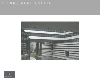 Cosnac  real estate