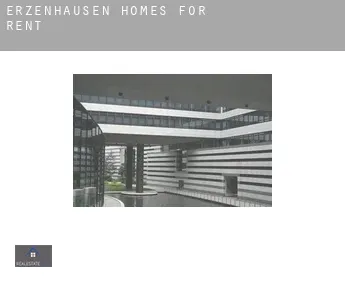 Erzenhausen  homes for rent
