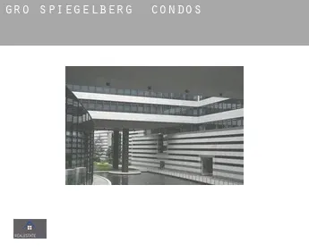 Groß Spiegelberg  condos