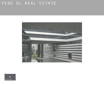 Pego (El)  real estate