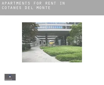 Apartments for rent in  Cotanes del Monte