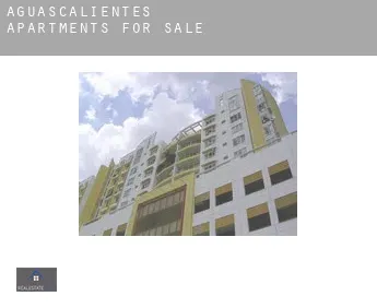 Aguascalientes  apartments for sale