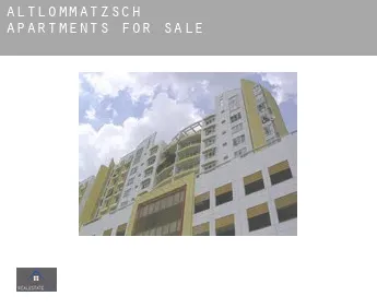 Altlommatzsch  apartments for sale