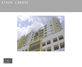 Ataun  condos