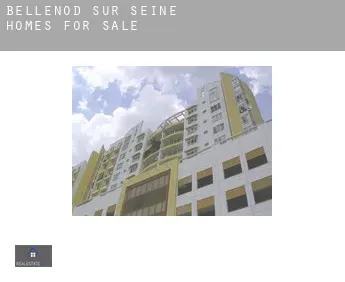 Bellenod-sur-Seine  homes for sale