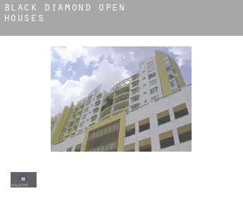 Black Diamond  open houses