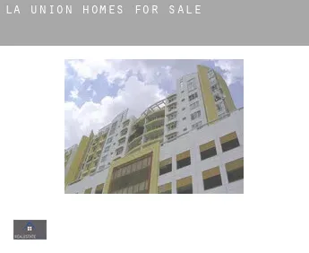 La Unión  homes for sale