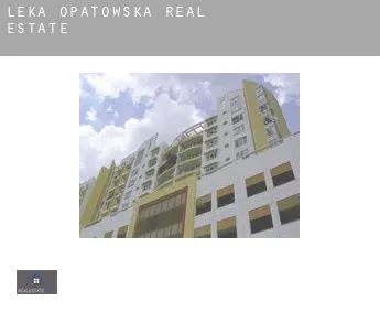 Łęka Opatowska  real estate