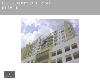 Les Champeaux  real estate