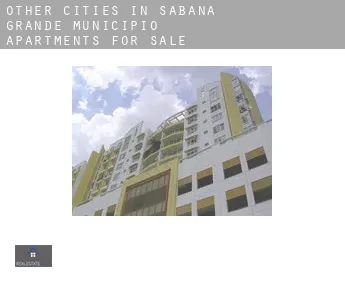 Other cities in Sabana Grande Municipio  apartments for sale