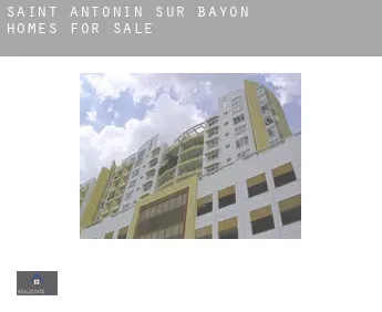 Saint-Antonin-sur-Bayon  homes for sale