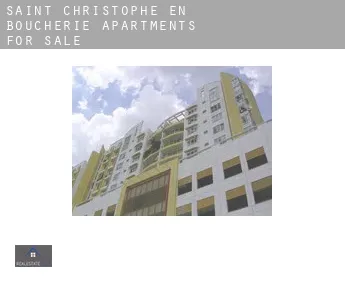 Saint-Christophe-en-Boucherie  apartments for sale