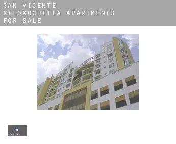 San Vicente Xiloxochitla  apartments for sale