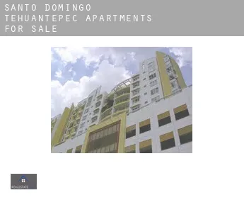 Santo Domingo Tehuantepec  apartments for sale