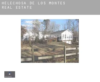 Helechosa de los Montes  real estate