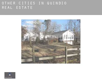 Other cities in Quindio  real estate