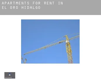 Apartments for rent in  El Oro de Hidalgo