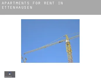 Apartments for rent in  Ettenhausen