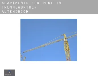 Apartments for rent in  Trennewurther Altendeich