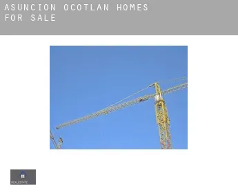 Asunción Ocotlán  homes for sale