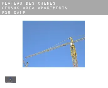 Plateau-des-Chênes (census area)  apartments for sale