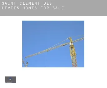 Saint-Clément-des-Levées  homes for sale
