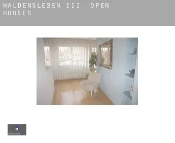 Haldensleben III  open houses