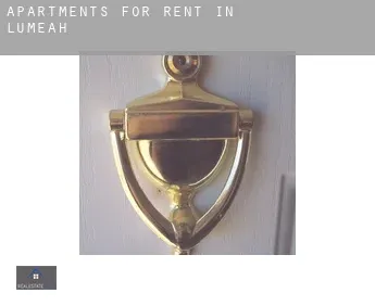 Apartments for rent in  Lumeah