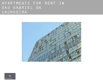 Apartments for rent in  São Gabriel da Cachoeira