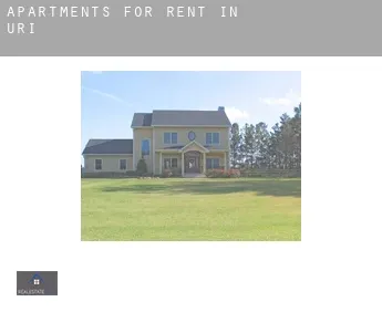 Apartments for rent in  Uri