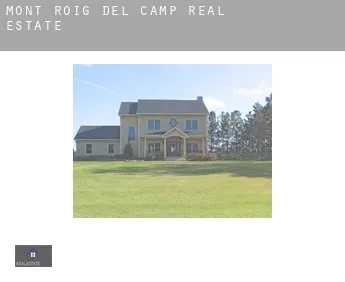 Mont-roig del Camp  real estate