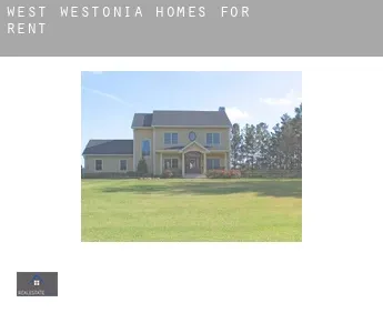 West Westonia  homes for rent