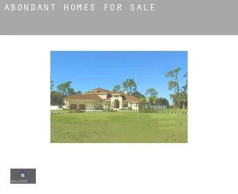 Abondant  homes for sale