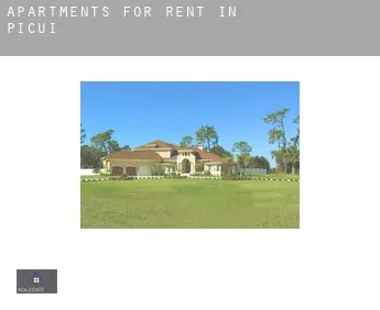 Apartments for rent in  Picuí