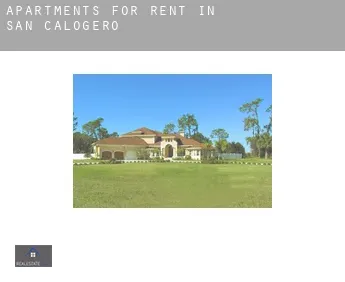 Apartments for rent in  San Calogero