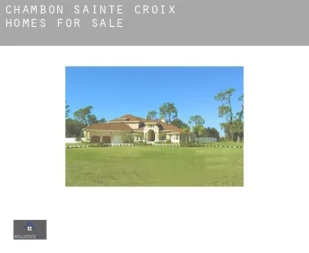 Chambon-Sainte-Croix  homes for sale