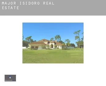 Major Isidoro  real estate
