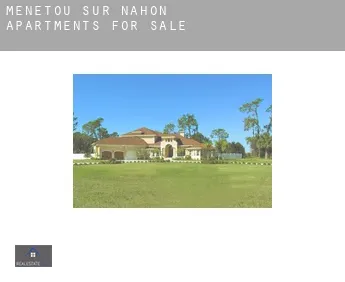 Menetou-sur-Nahon  apartments for sale
